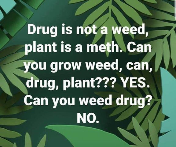 weed34.jpg
