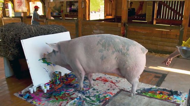 pigcasso.jpg