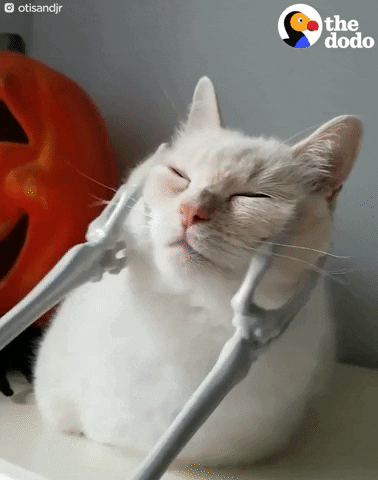 giphy-2.gif