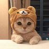 @664731316:auroraoss.com