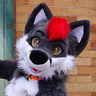@dalite:bark.lgbt