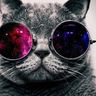 @telegram_5204314324:calyx.dev