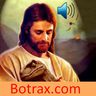 @telegram_1332819061:calyx.dev