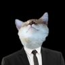 @telegram_284796283:calyx.dev