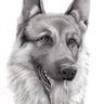 @unknownabc:chat.bobrtc.tel