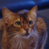 @krille:ubports.chat