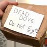 @dead-dove:deepspace.dog
