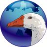 @worldof:geese.party