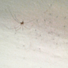 @mg979-5bb5584dd73408ce4faa48c7:gitter.im