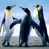 @kdurant-55264e6c15522ed4b3debe63:gitter.im