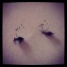 @24hours-57a75c1c40f3a6eec05e5456:gitter.im