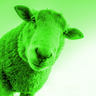 @green_sheep:gotnobitch.es