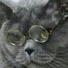 @telegram_467148773:haiku-matrix.com
