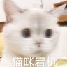 @telegram_1653325958:haiku-matrix.com