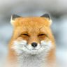 @telegram_658793812:haiku-matrix.com