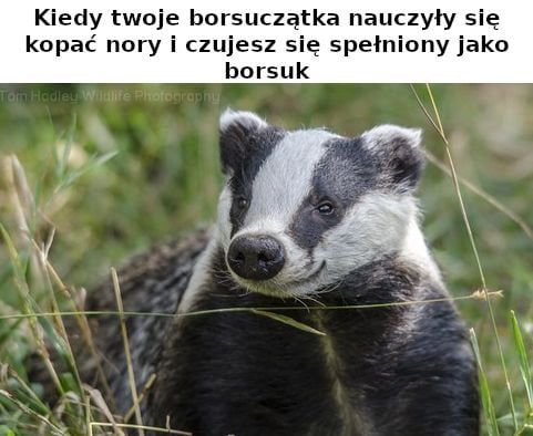 comment_IBvyJOpgkxJW0qNsPgwdUmldJfaDKr8N.jpg