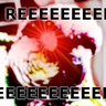 @kb1rd:kb1rd.net