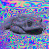 @_discord_116226667076124672:koesters.xyz