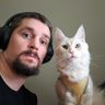 @beepdog:kow.is
