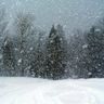 @snowstorm:librem.one