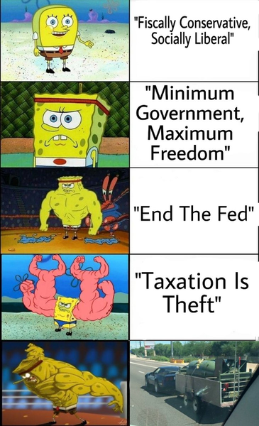 libertarian-levels.png