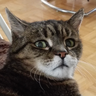 @_discord_263774868623851520:matrix.easyrpg.org