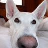 @stelthpanther:matrix.org