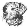 @bitbinge:matrix.org