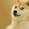 @nullpointer007:matrix.org