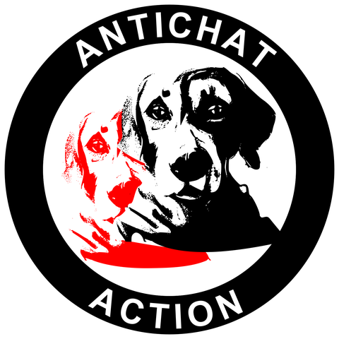 Antichat_logo.png