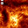 @sunsheep:matrix.org
