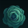 @dedcode:matrix.org