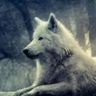 @gitter_feikname:matrix.org