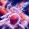 @rukuaj:matrix.org
