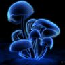 @buggs52:matrix.org
