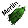 @merlin_1:matrix.org
