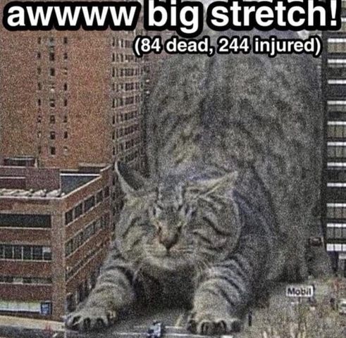 biiiiig stretch.jpg
