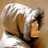 @psil0cybin:matrix.org