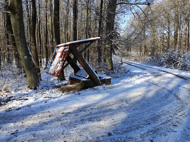 broken_picnic_table.jpg