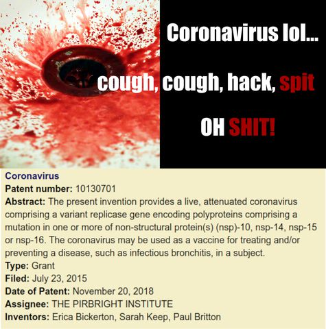 Coronavirus.jpg