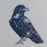 @impressive-raven:matrix.org