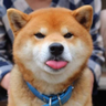 @gitter_nater540:matrix.org