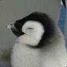 @gitter_dryvnt:matrix.org