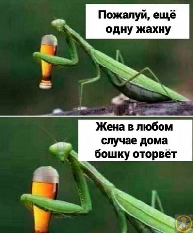 1618387892.jpg