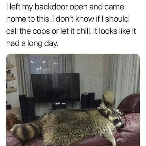 ima_902c70e.jpeg