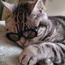 @smorimoto:matrix.org