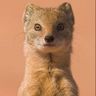 @gitter_cschneid:matrix.org