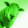 @green_sheep:matrix.org