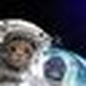 @ger77:matrix.org