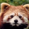 @srock_:matrix.org